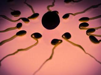 Lekár zažaloval kliniku za zneužitie jeho darovaných spermií