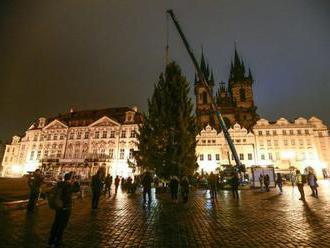 Rozsvícení vánočního stromu na Staroměstském náměstí - videopřenos