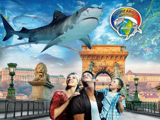 Budapešť s návštevou najväčšieho morského akvária v Strednej Európe Tropicarium
