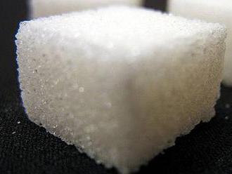 Cukru bude letos méně, jeho cena poroste. Kvůli suchu, hrabošům i cerkosporióze