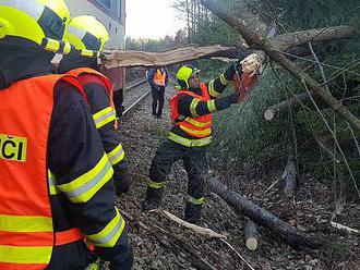 U Dobřejovic spadl strom na trakční vedení. Vlaky musely nahradit autobusy