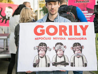 NAKA má vyšetriť podozrenia okolo zničenia originálu Gorily