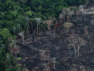 Brazílsky prezident obvinil DiCapria z financovania podpaľačstva v Amazónii