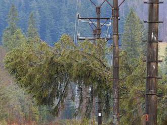 Pre spadnuté stromy je na Orave bez elektriny 232 odberných miest