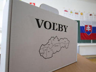 Slováci budú môcť cez aplikáciu požiadať o hlasovanie vo voľbách zo zahraničia