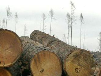 Štátne lesy začínajú predávať kalamitné drevo chudobnejším