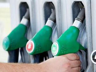 Výrobcovia biopalív bránia benzín 95 E10: Neohrozuje autá