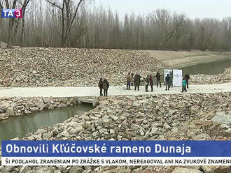 Ochranárom sa podarilo obnoviť Kľúčovské rameno Dunaja