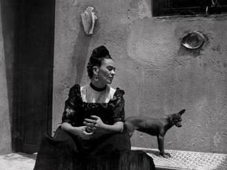 Frida Kahlo / Její fotografie