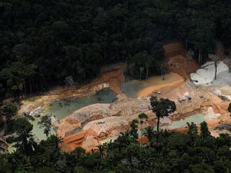 Amazonský prales se podle vědců blíží bodu zvratu, kdy začne odumírat. Letošní rok byl nejhorší v hi