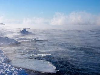 Příliš sněhu v Arktidě ohrožuje ekosystém