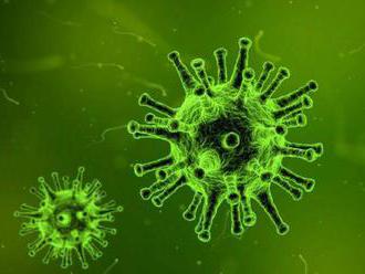 Odborníci varujú pred hrozbou smrteľného vírusu nipah