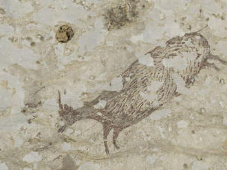 Našli jaskynnú maľbu starú 44-tisíc rokov