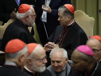 Německý kardinál: Církev ničila záznamy o sexuálním zneužívání