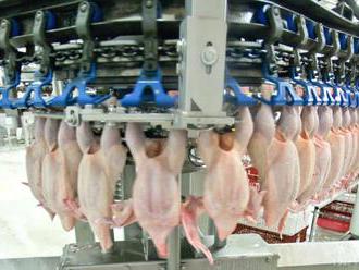 Potvrdili salmonelu: V Česku zadržali zásielku kuracieho mäsa z Poľska