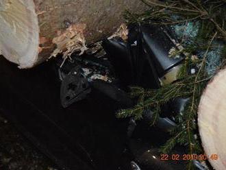FOTO Hrozivá nehoda na našich cestách: Na auto spadli dva stromy, šťastie v nešťastí