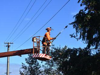 Nezabudnite si orezať stromy a kríky pod vedením, apelujú elektrikári majiteľom pozemkov