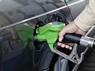 Poslanci navrhují zrušit povinné přimíchávání biopaliv do benzinu