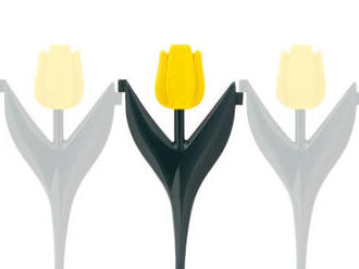 Plôtik / okraj  záhonu - žlté tulipány 4 ks / balenie