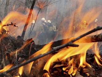 Bratislavskí hasiči zasahujú pri požiari porastu a odpadu