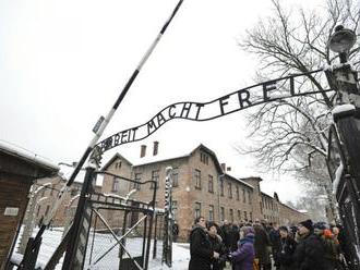Američana obvinili z pokusu o krádež predmetu z Auschwitzu