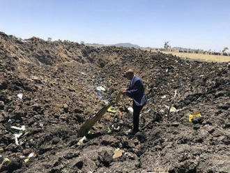 Obete havárie lietadla v Etiópii pripomína pamätná tabuľa a olivovník