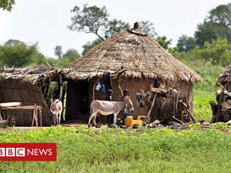 Mali bans hunting society after attack kills 130 Fulani