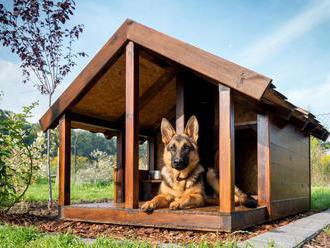 Pět tipů pro stavbu moderní psí boudy