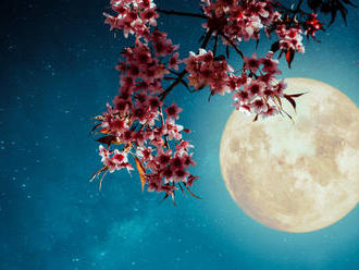Lunární kalendář od 18. do 24. března 2019: Začni slavit! Přichází první jarní úplněk a s ním radost