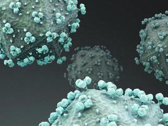 Vedci hlásia druhý prípad likvidácie vírusu HIV transplantáciou drene