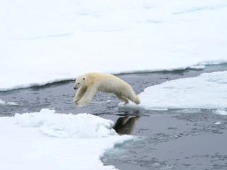Na rande s ľadovým medveďom: Cestovateľ Ľuboš Fellner zoči-voči predátorom