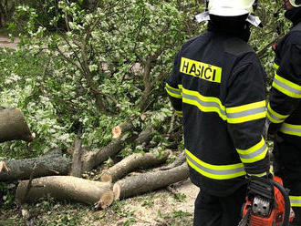 Do ulice U stadionu v Meziboří vyjela místní dobrovolná jednotka odstranit strom, který spadl na…