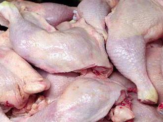 V zásilce půl tuny kuřecích řízků z Polska do Česka je salmonela
