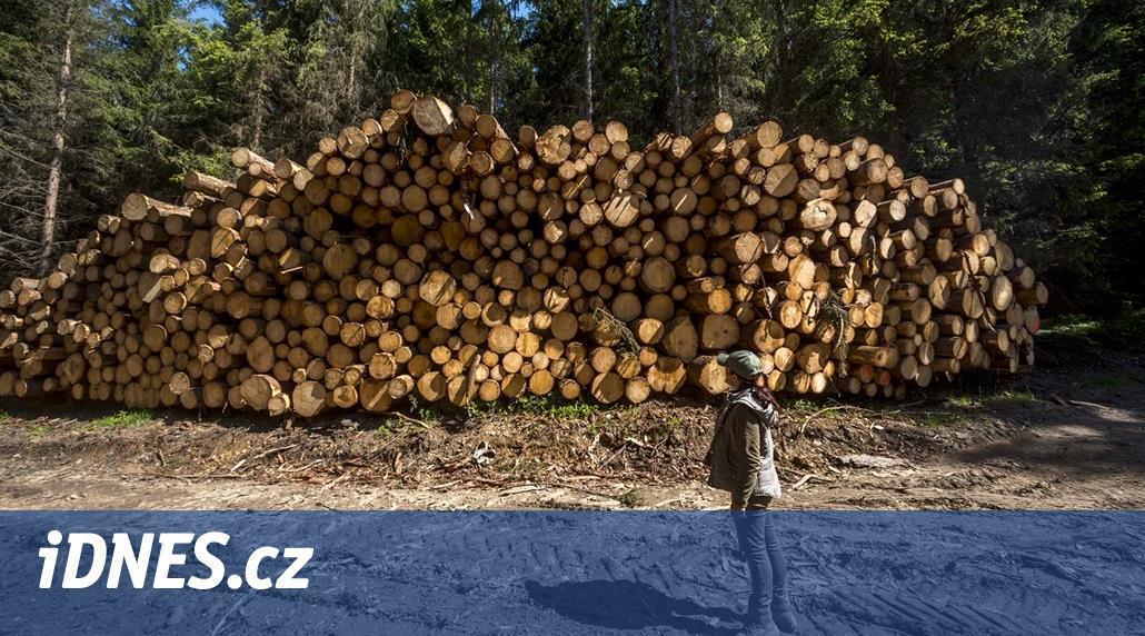 Soukromé lesy žádají stát o pomoc. Situace je zoufalá, tvrdí vlastníci