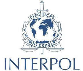 Interpol při zátahu proti síti pedofilů zachránil 50 dětí