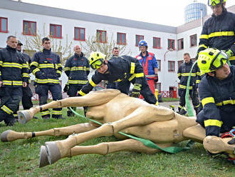 Hasiči v Ústí nad Labem cvičili pod vedením Horse Emergency se záchrannou sítí pro koně