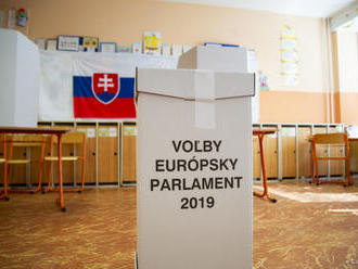 Výsledky eurovolieb z polovice krajín EÚ: Vyhrali štandardné strany