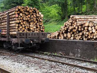 ČD Cargo koupí lokomotivy a vagony za 15 miliard korun. Posiluje kvůli zahraniční expanzi i kůrovci