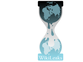   Hra o Assange: jde o výklad dodatku ústavy, píší americká média