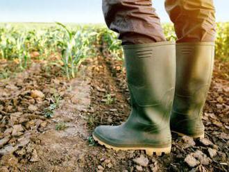 Farmári môžu dostať peniaze za sucho a výpadok úrody, schému pomoci musí ešte schváliť Brusel