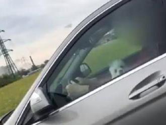 Video: Policajti zastavili netradičnú dvojicu, za volantom Mercedesu sedel dôchodca so psíkom