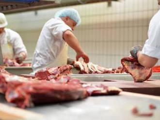 Škandál s hovädzím mäsom prinútil Poľsko posilniť kontrolu vlastných potravín