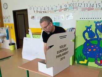 Ako voliť v eurovoľbách?