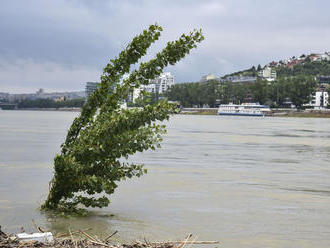 Pre Bratislavu platí hydrologická výstraha, Dunaj dosiahol 655 cm