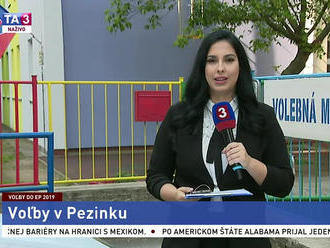 Voľby do EP: L. Ježová o priebehu volieb v Pezinku