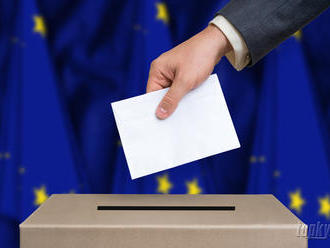 Naša účasť v eurovoľbách je rekordná, no stále malá, tvrdí analytik