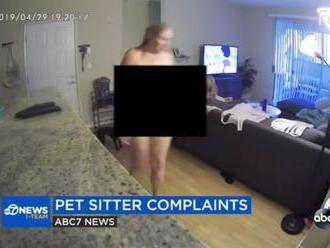 Majiteľka psov si najala slečnu na ich stráženie: Pikantné VIDEO z tajnej kamery