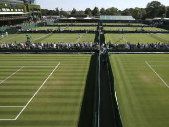 Karolína Plíšková zahájí Wimbledon na dvojce