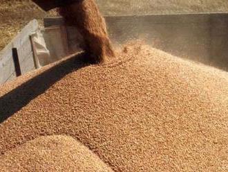 Irán očakáva po daždivej jari veľmi dobrú úrodu, najmä pšenice