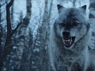 Game of Thrones battle with 50 dire wolves cut from season 8     - CNET